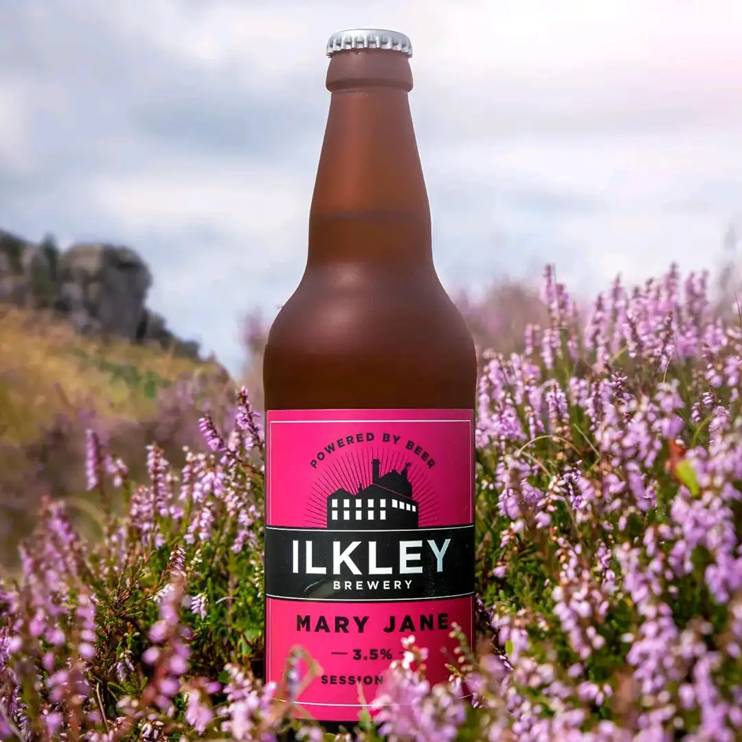 A bottle of ilkley mary jane amongst a heather bush
